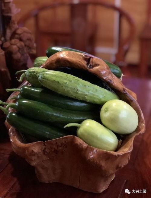 贵阳网红吃瓜,揭秘城市美食新潮流