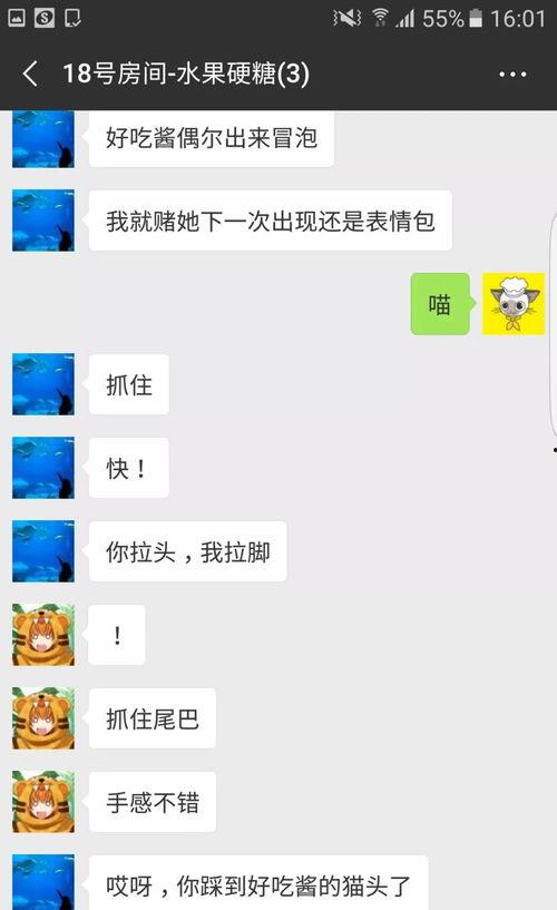 七夕吃瓜网红,网红吃瓜盛宴，揭秘娱乐圈幕后故事