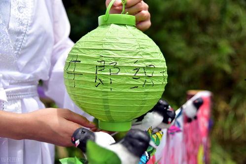 七夕吃瓜网红,网红吃瓜盛宴，揭秘娱乐圈幕后故事