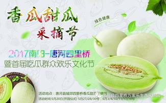 网红吃瓜大勺子,揭秘娱乐圈幕后真相