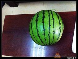 17吃瓜网去哪儿了,揭秘网络平台背后的故事