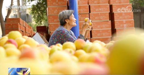 摆摊网红吃瓜视频大全集,趣味视频全集回顾