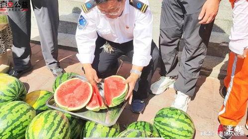 摆摊网红吃瓜视频大全集,趣味视频全集回顾