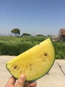 吃瓜网红前十名,盘点前十名热门话题制造者