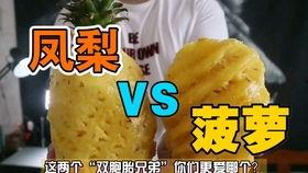 在哪吃抖音网红瓜啊,瓜分美食新潮流