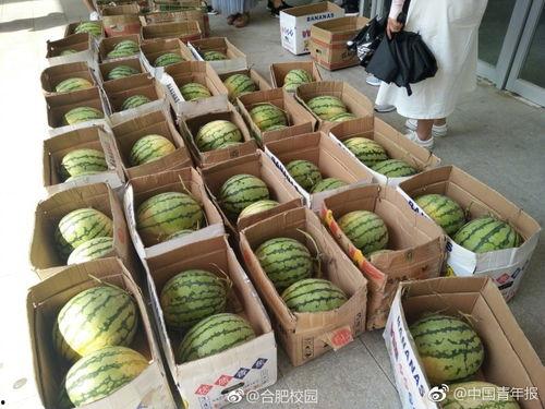 合肥吃瓜网,揭秘本地热门事件，带你畅游美食与八卦世界