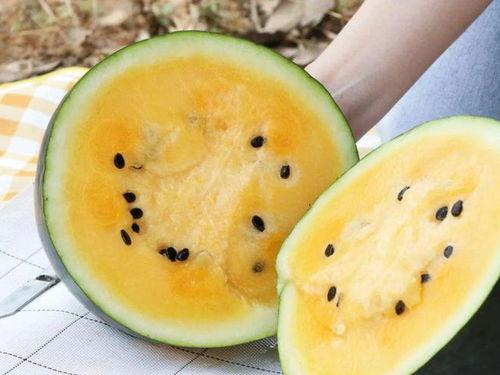 吃瓜导航官网,一站式娱乐资讯平台深度解析