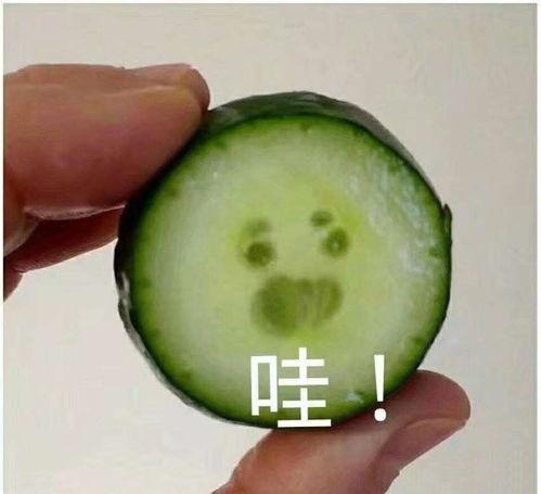 吃瓜网红照片头像贴纸,揭秘明星幕后生活