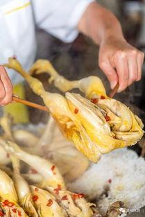 一天只吃网红鸡瓜