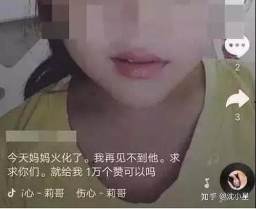 网红蔡二哥吃瓜视频在线观看