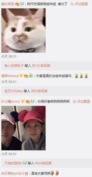 今日吃瓜在线播放网,揭秘娱乐圈最新热点，带你畅游八卦海洋