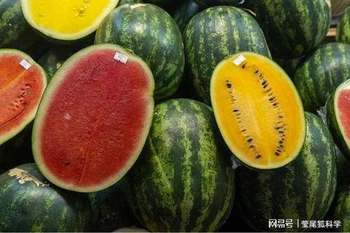 网红吃瓜游戏叫什么名字,揭秘网络红人间的趣味互动盛宴