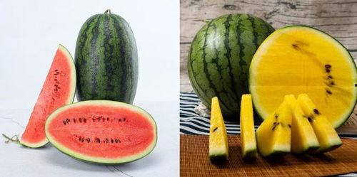 吃瓜网6669383,热门话题背后的真相与趣味