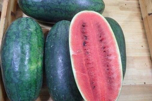 黑网料吃瓜网黄玉瑶