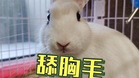 吃瓜超有料抖音网红,瓜界翘楚的幕后故事