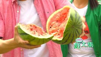 吃瓜网今日吃瓜 热门大瓜在线观,吃瓜网带你实时观战吃瓜盛宴