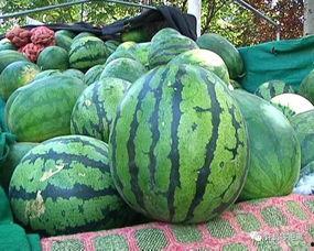 怎么下载吃瓜网,畅享娱乐资讯新体验