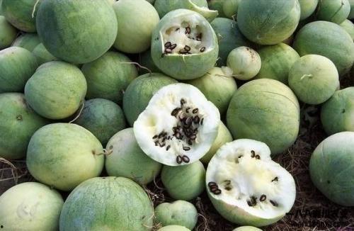 全球热门吃瓜网,揭秘娱乐圈最新热点，带你领略八卦风云