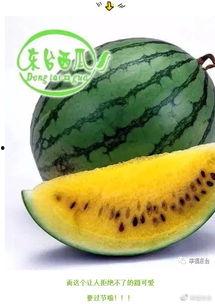 全球热门吃瓜网,揭秘娱乐圈最新热点，带你领略八卦风云