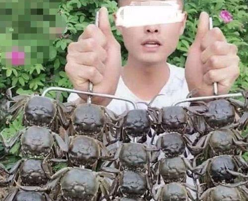 怒江百万网红吃瓜事件真相,揭秘背后真相与网络舆论风暴