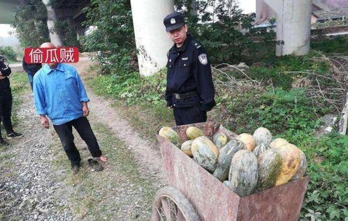 怒江百万网红吃瓜事件真相,揭秘背后真相与网络舆论风暴