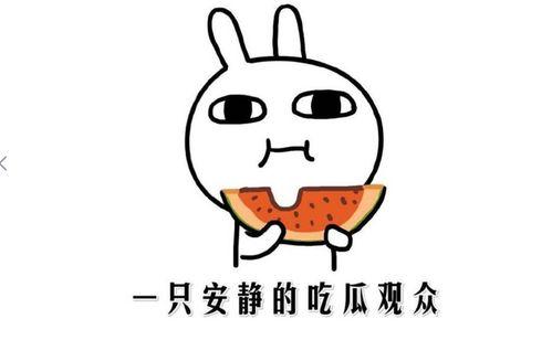 抖音吃瓜官网,揭秘热门事件背后的真相与趣味