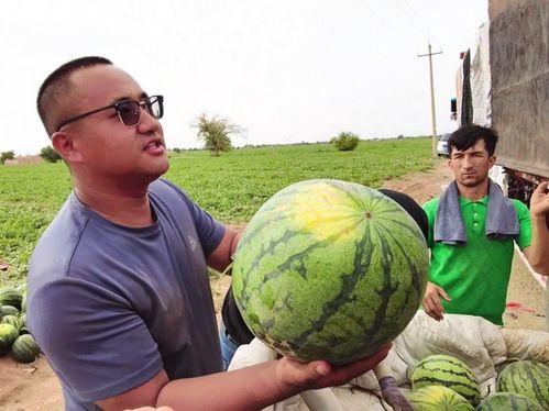 网红吃瓜照片全集高清图,高清图集揭秘娱乐圈幕后风云