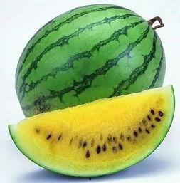 最全吃瓜网,最全吃瓜网带你领略明星幕后故事