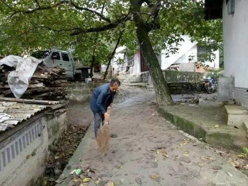 康县店子乡网红吃瓜事件,一场网络狂欢背后的争议与反思
