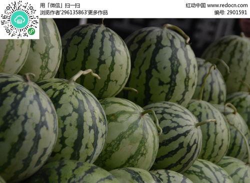 吃瓜网红照片大全集下载,全网热传！吃瓜网红照片大全集下载解析