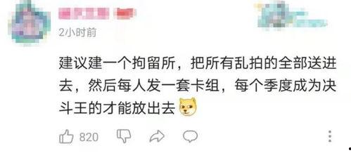 吃瓜网白龙,揭秘吃瓜网幕后黑手