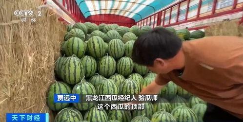 吃瓜网变成什么了,揭秘全新面貌背后的故事