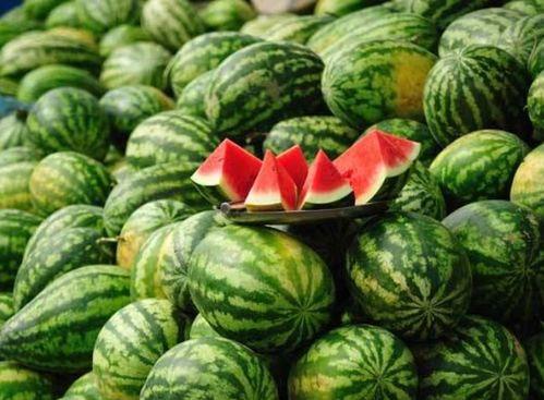 康县网红 吃瓜事件视频,揭秘网络舆论的风云变幻