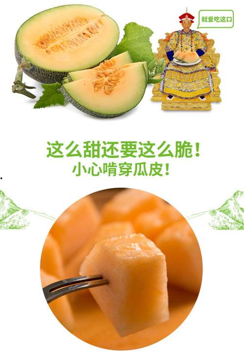 免费吃瓜官网推荐,盘点热门瓜果，畅享夏日美味时光