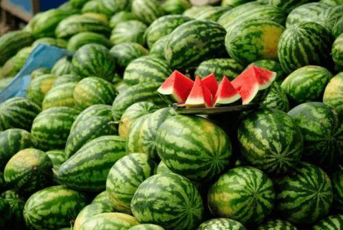 网红吃瓜群视频大全下载,揭秘网络红人幕后生活瞬间