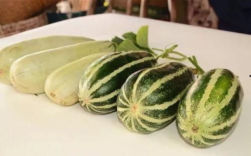 各种网红视频爆料吃瓜,揭秘娱乐圈吃瓜大事件！