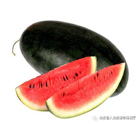 黑瓜吃料正能量官网最新51,51期精彩内容，带你领略生活美好瞬间