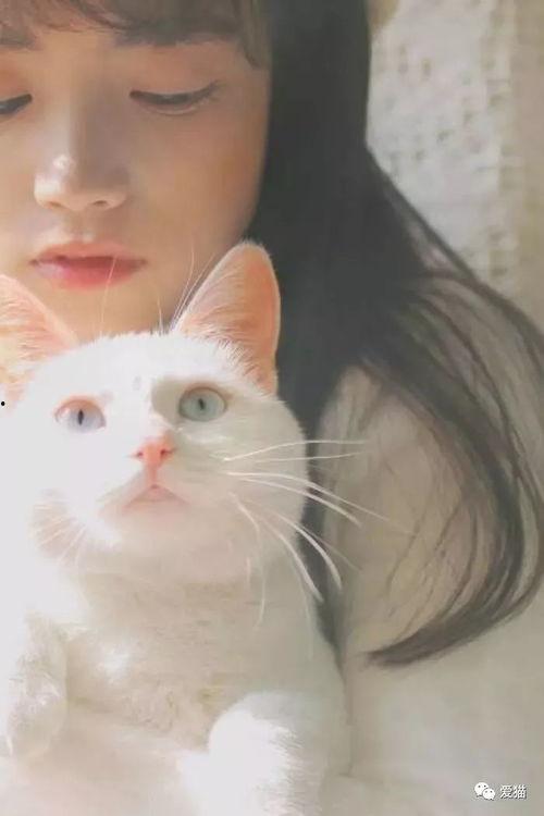吃瓜网红少女猫猫