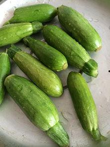 网红吃的小瓜怎么做的呢,简单美味，轻松上手的夏日消暑佳品