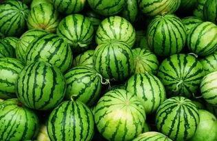 莱阳网红吃瓜群微信群号,微信群号背后的故事与魅力