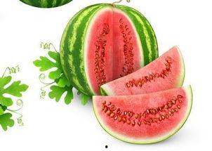 武衣吃瓜网,揭秘娱乐圈幕后故事，带你领略明星真实生活