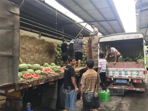 泸州吃瓜网,揭秘泸州美食背后的故事与趣闻