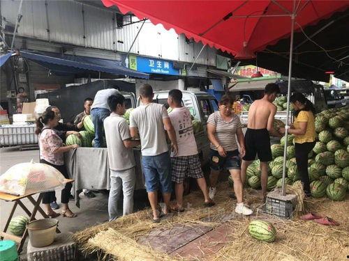 泸州吃瓜网,揭秘泸州美食背后的故事与趣闻