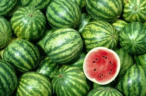 曝料吃瓜网,揭秘娱乐圈幕后真相，带你走进明星隐私世界