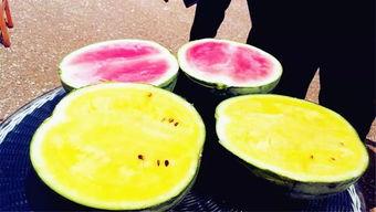 吃瓜爆网,揭秘娱乐圈幕后真相，带你走进明星生活