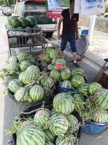 叶县网红吃瓜事件,揭秘网络舆论背后的真相与反思