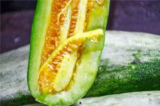 网红吃瓜入口在哪里,揭秘网红们的美食秘密