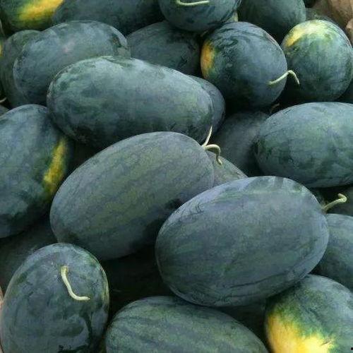 五一黑料吃瓜网入口,揭秘五一假期热门事件背后的真相