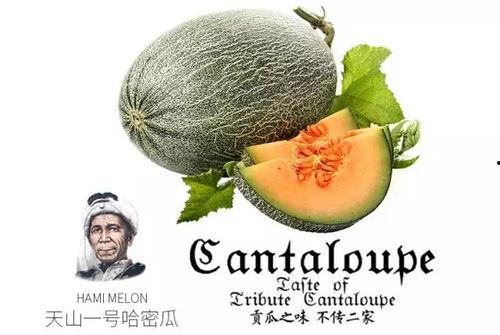 网红吃瓜微信号是真是假,真伪难辨，真相大白！  第2张