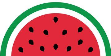 吃瓜网极速版,轻松掌握娱乐圈最新动态，畅享八卦盛宴  第3张